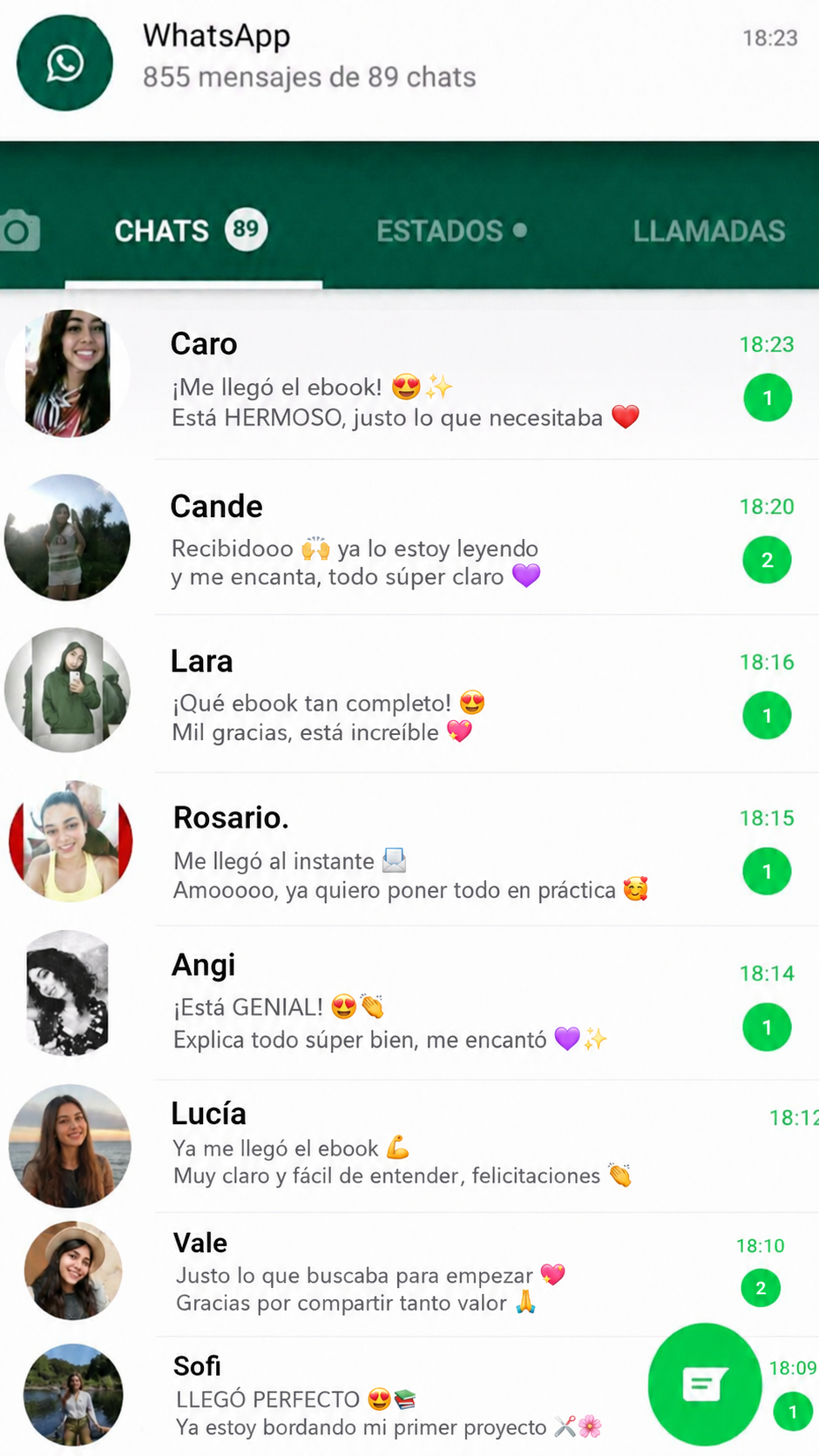 Testimonio Bordado 2